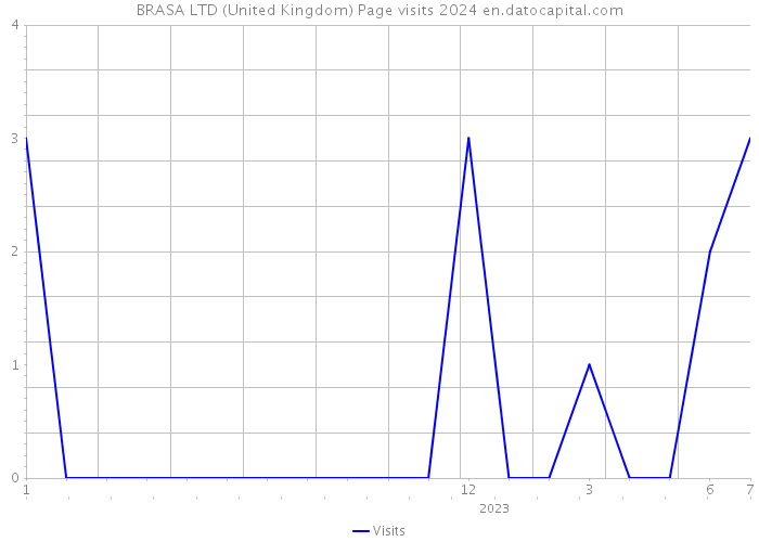 BRASA LTD (United Kingdom) Page visits 2024 