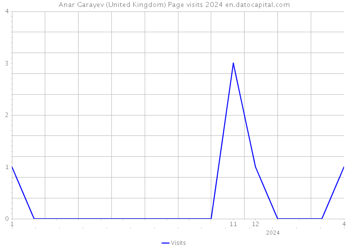 Anar Garayev (United Kingdom) Page visits 2024 