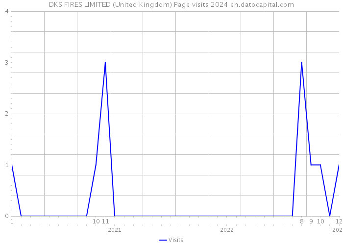 DKS FIRES LIMITED (United Kingdom) Page visits 2024 