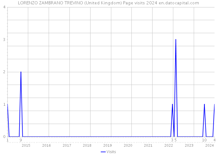 LORENZO ZAMBRANO TREVINO (United Kingdom) Page visits 2024 