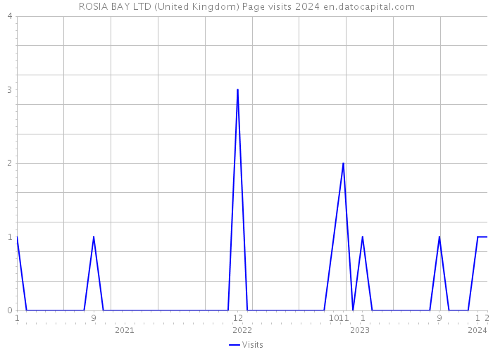 ROSIA BAY LTD (United Kingdom) Page visits 2024 