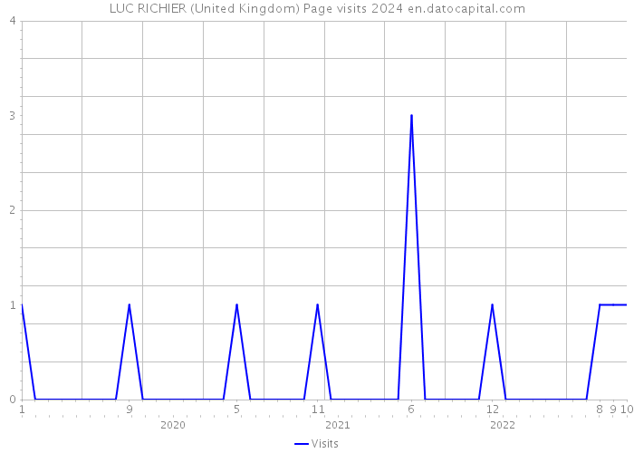 LUC RICHIER (United Kingdom) Page visits 2024 