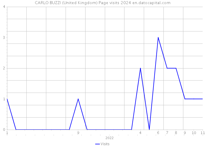 CARLO BUZZI (United Kingdom) Page visits 2024 