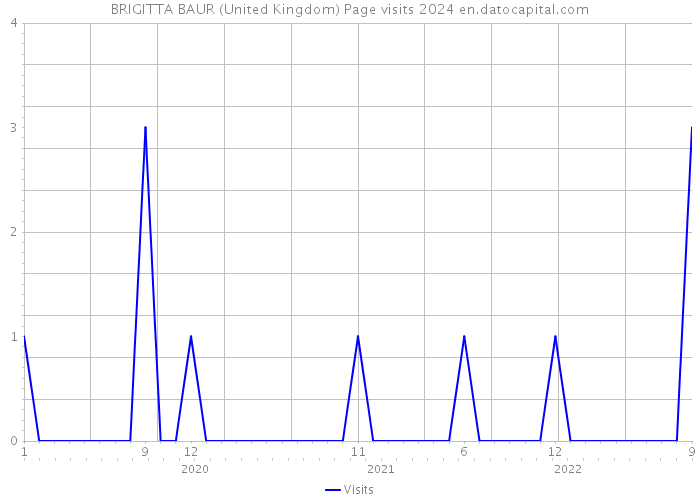 BRIGITTA BAUR (United Kingdom) Page visits 2024 