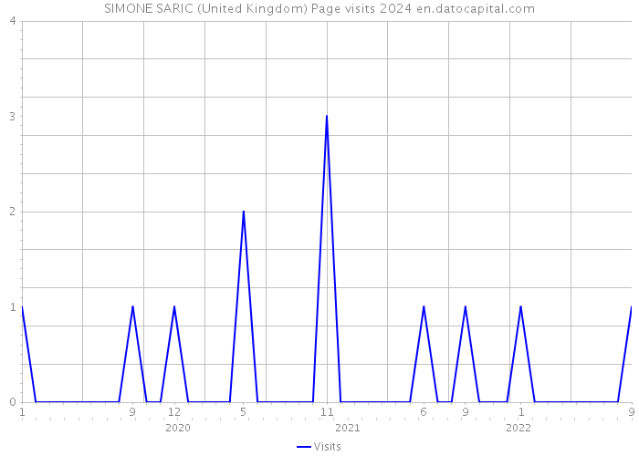 SIMONE SARIC (United Kingdom) Page visits 2024 