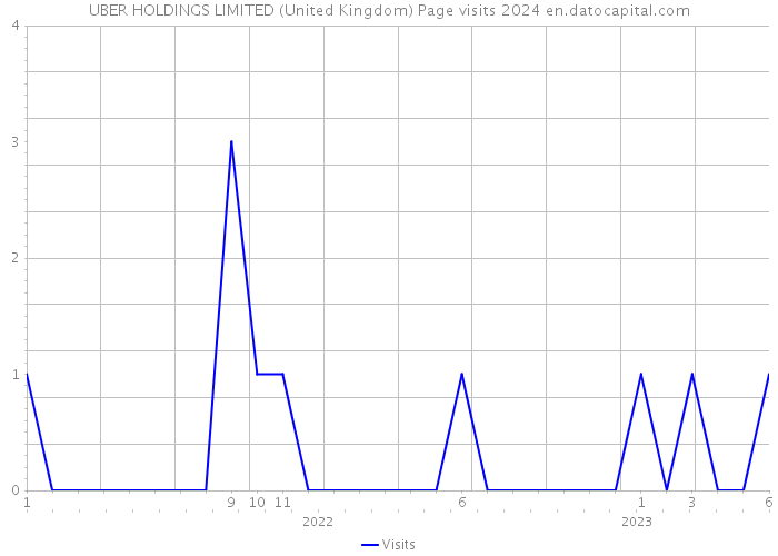UBER HOLDINGS LIMITED (United Kingdom) Page visits 2024 