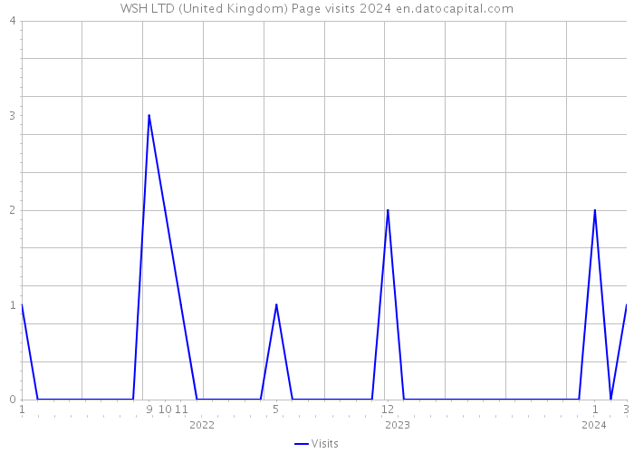 WSH LTD (United Kingdom) Page visits 2024 