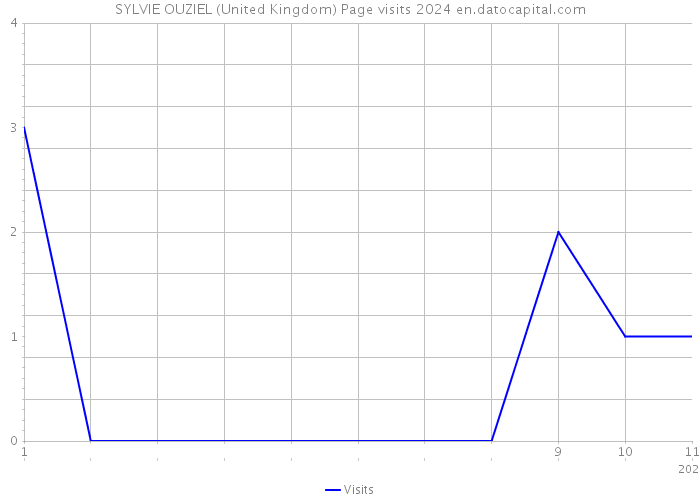 SYLVIE OUZIEL (United Kingdom) Page visits 2024 