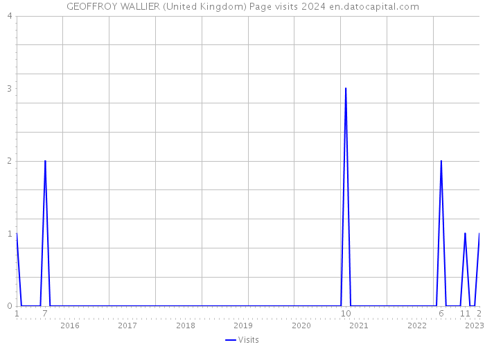 GEOFFROY WALLIER (United Kingdom) Page visits 2024 