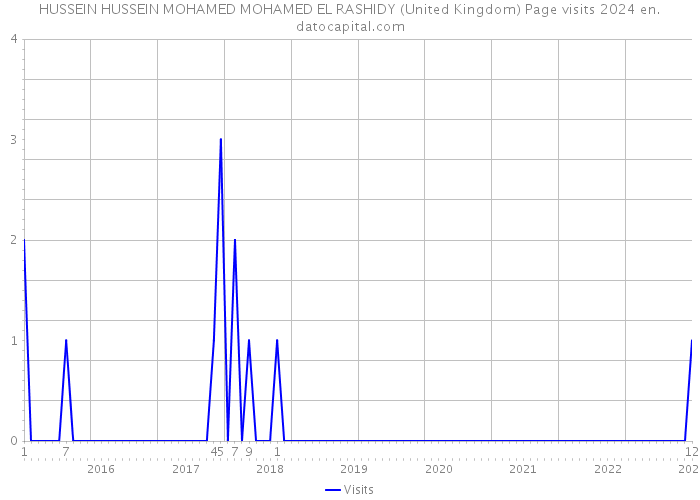 HUSSEIN HUSSEIN MOHAMED MOHAMED EL RASHIDY (United Kingdom) Page visits 2024 