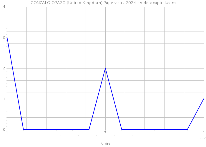 GONZALO OPAZO (United Kingdom) Page visits 2024 