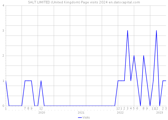 SALT LIMITED (United Kingdom) Page visits 2024 