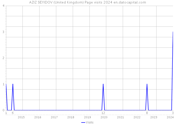 AZIZ SEYIDOV (United Kingdom) Page visits 2024 