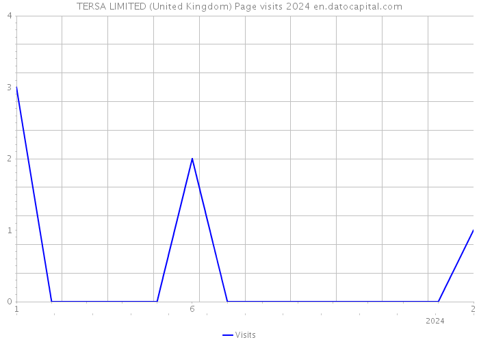 TERSA LIMITED (United Kingdom) Page visits 2024 