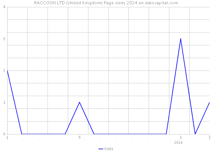 RACCOON LTD (United Kingdom) Page visits 2024 