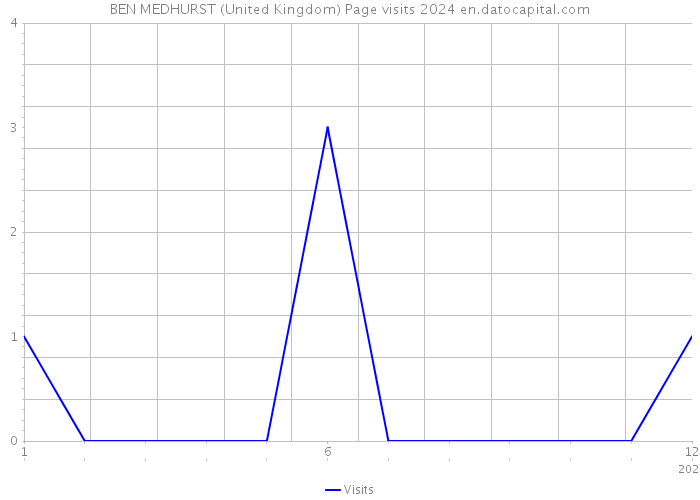 BEN MEDHURST (United Kingdom) Page visits 2024 