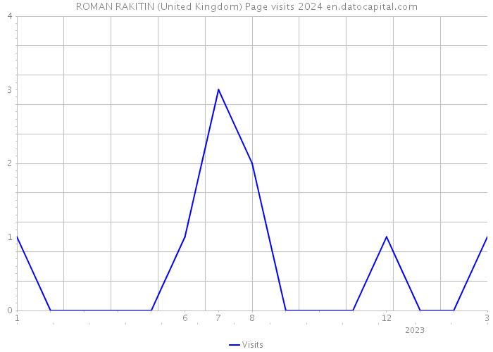 ROMAN RAKITIN (United Kingdom) Page visits 2024 