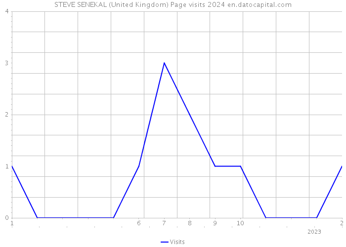 STEVE SENEKAL (United Kingdom) Page visits 2024 