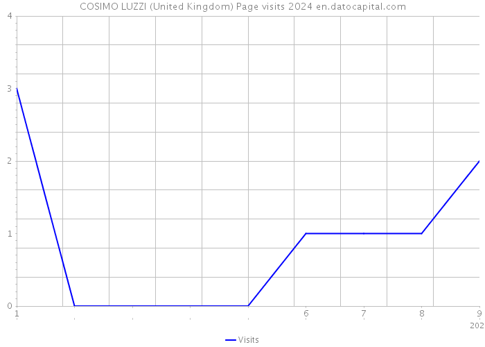 COSIMO LUZZI (United Kingdom) Page visits 2024 