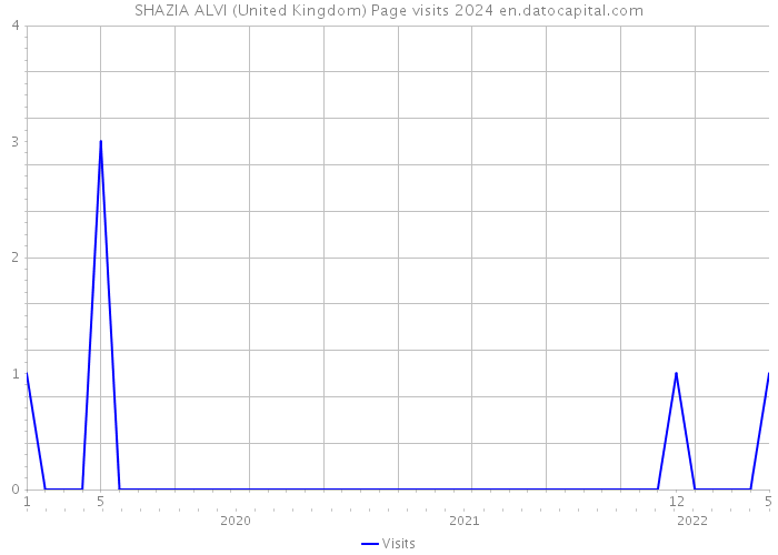 SHAZIA ALVI (United Kingdom) Page visits 2024 