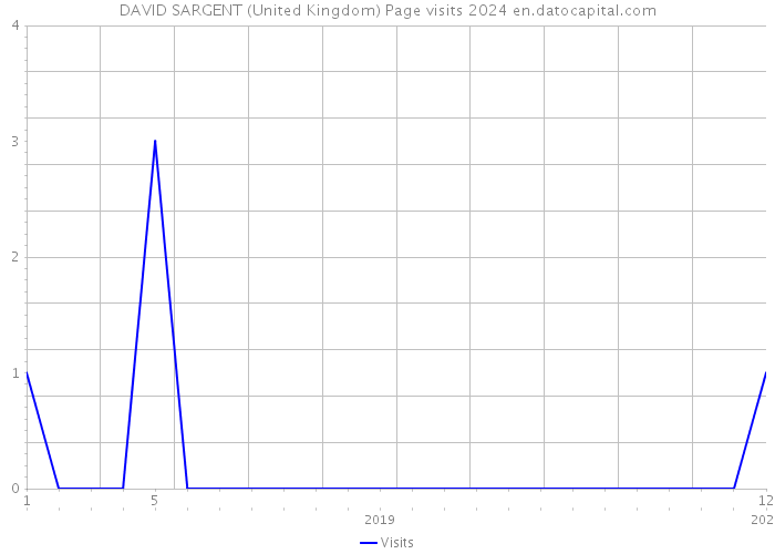 DAVID SARGENT (United Kingdom) Page visits 2024 