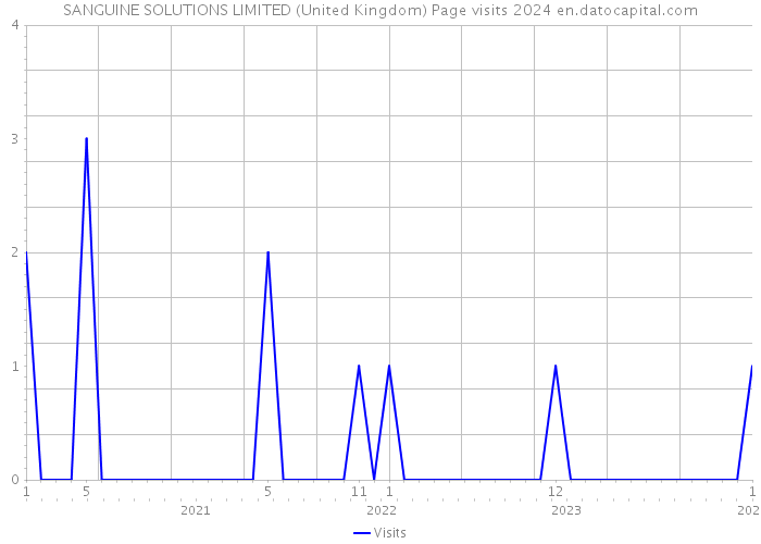SANGUINE SOLUTIONS LIMITED (United Kingdom) Page visits 2024 