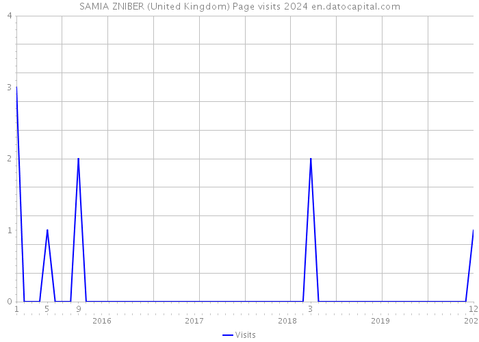 SAMIA ZNIBER (United Kingdom) Page visits 2024 