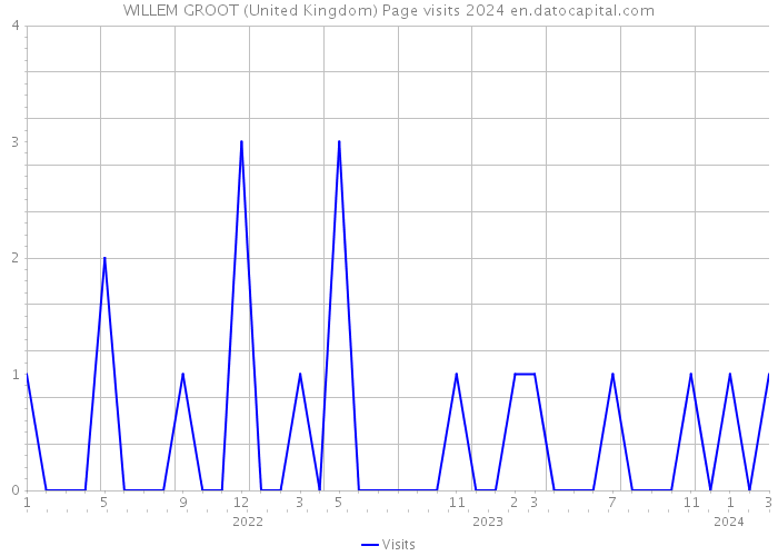 WILLEM GROOT (United Kingdom) Page visits 2024 