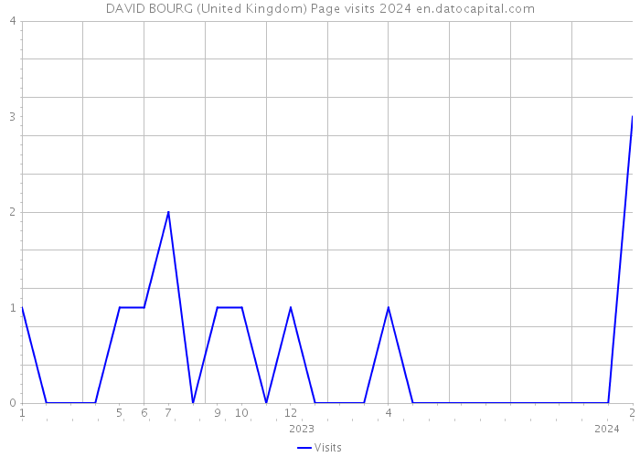DAVID BOURG (United Kingdom) Page visits 2024 