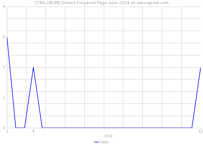 CYRIL NEGRE (United Kingdom) Page visits 2024 