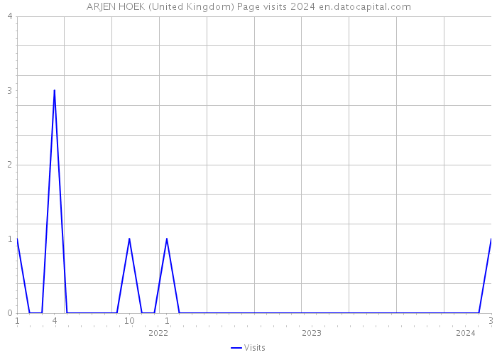 ARJEN HOEK (United Kingdom) Page visits 2024 
