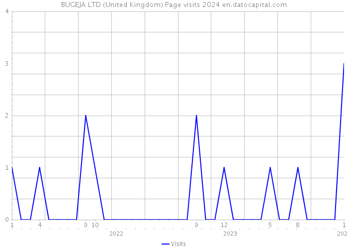 BUGEJA LTD (United Kingdom) Page visits 2024 