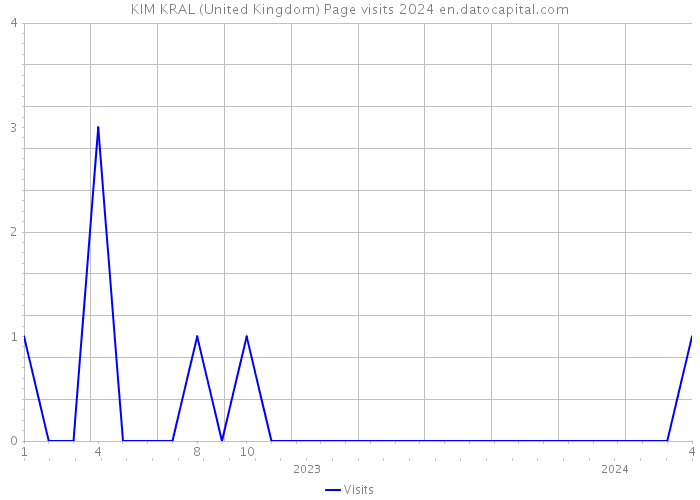 KIM KRAL (United Kingdom) Page visits 2024 