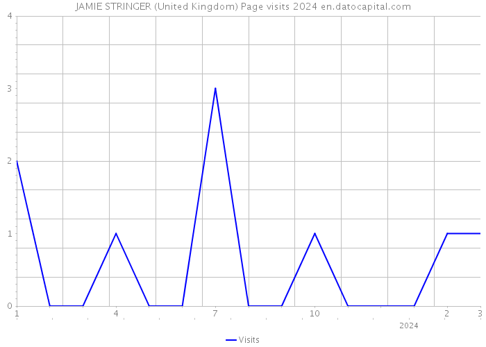 JAMIE STRINGER (United Kingdom) Page visits 2024 