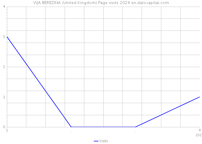 VIJA BEREZINA (United Kingdom) Page visits 2024 
