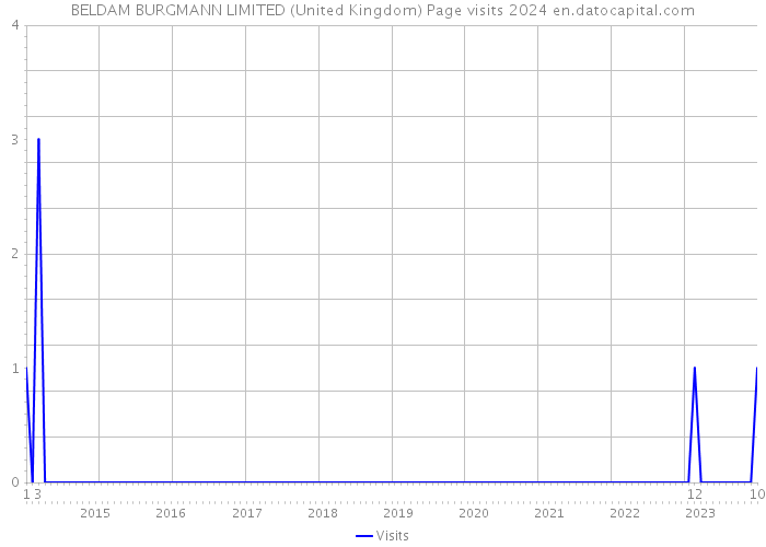 BELDAM BURGMANN LIMITED (United Kingdom) Page visits 2024 