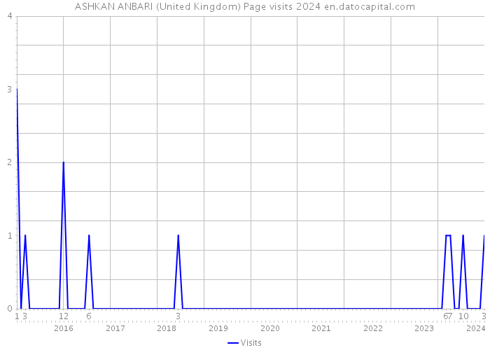 ASHKAN ANBARI (United Kingdom) Page visits 2024 