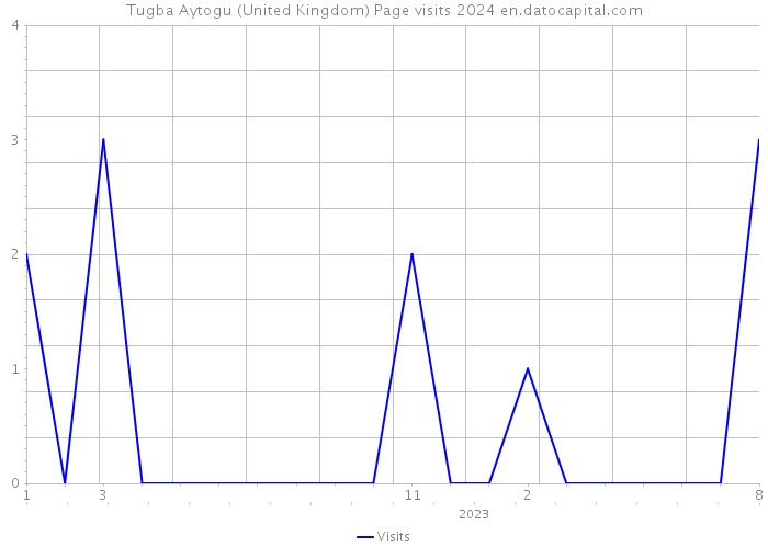 Tugba Aytogu (United Kingdom) Page visits 2024 