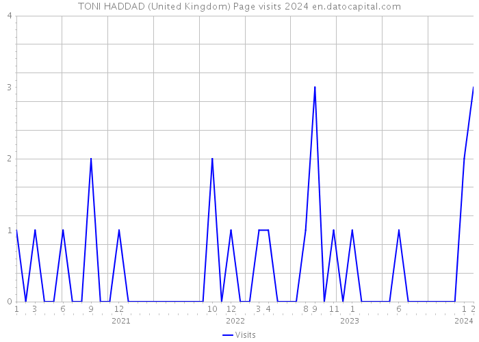 TONI HADDAD (United Kingdom) Page visits 2024 