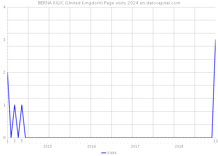 BERNA KILIC (United Kingdom) Page visits 2024 