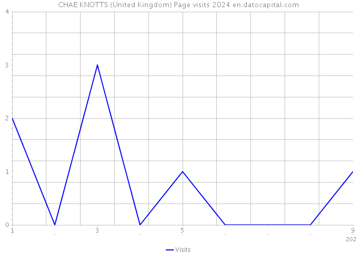 CHAE KNOTTS (United Kingdom) Page visits 2024 