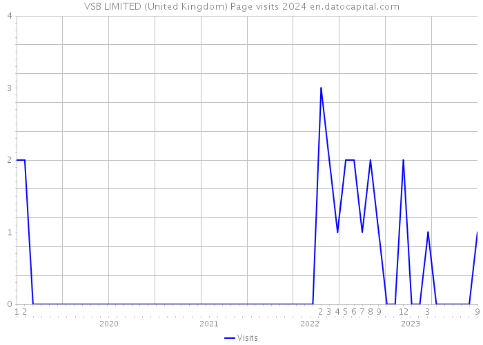 VSB LIMITED (United Kingdom) Page visits 2024 