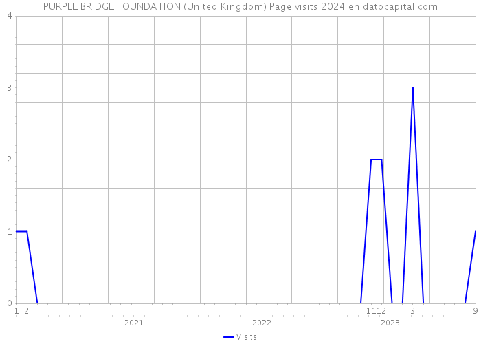 PURPLE BRIDGE FOUNDATION (United Kingdom) Page visits 2024 
