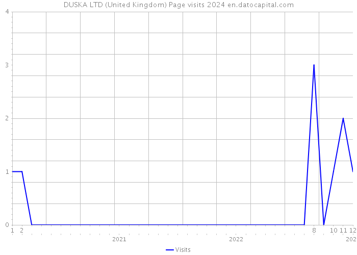 DUSKA LTD (United Kingdom) Page visits 2024 