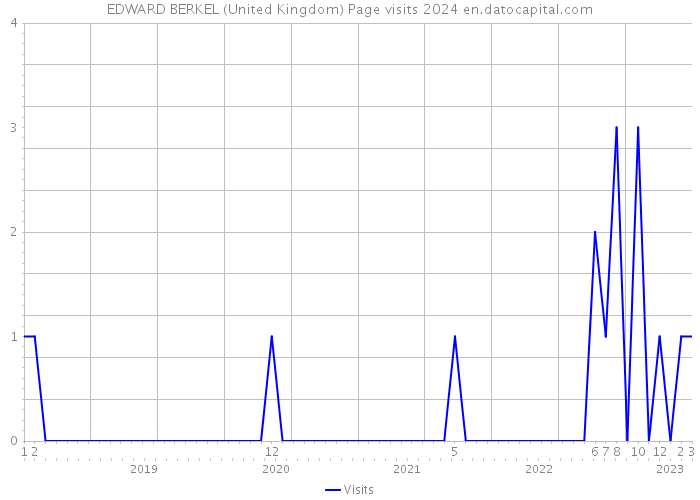 EDWARD BERKEL (United Kingdom) Page visits 2024 