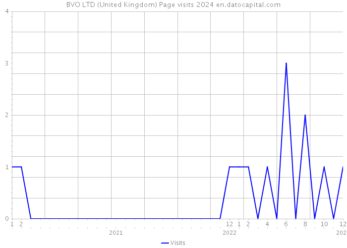 BVO LTD (United Kingdom) Page visits 2024 