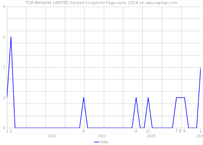 TOP BANANA LIMITED (United Kingdom) Page visits 2024 
