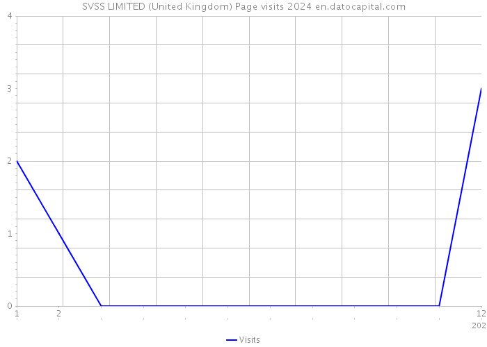 SVSS LIMITED (United Kingdom) Page visits 2024 
