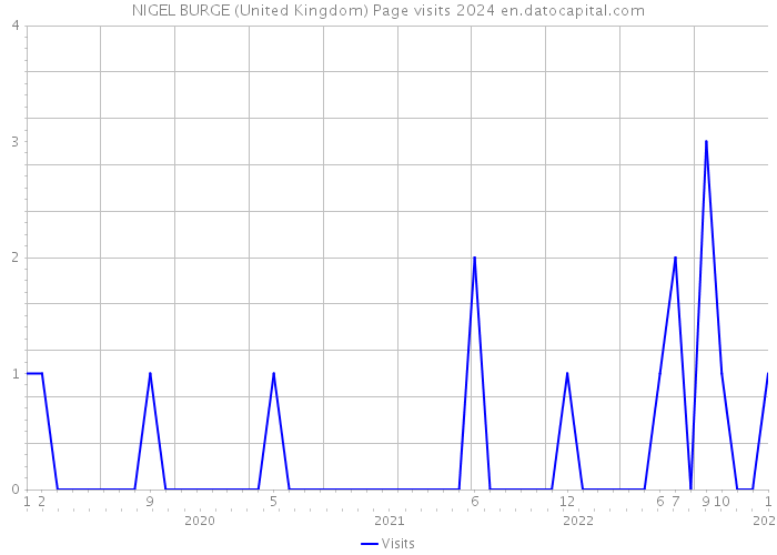 NIGEL BURGE (United Kingdom) Page visits 2024 