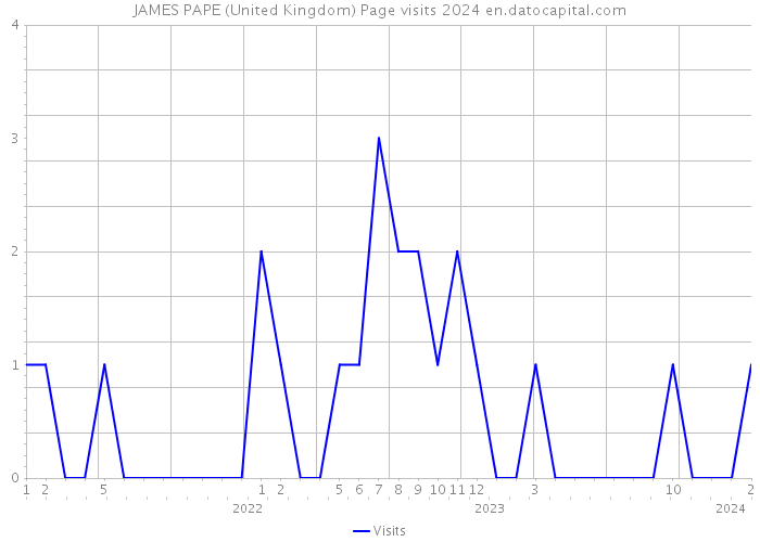 JAMES PAPE (United Kingdom) Page visits 2024 